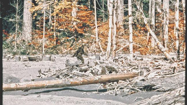 Bigfoot: Man or Myth?