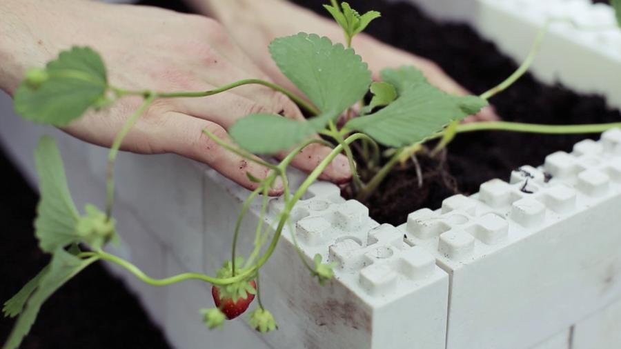 Kickstarter We Love: TogetherFarm Blocks