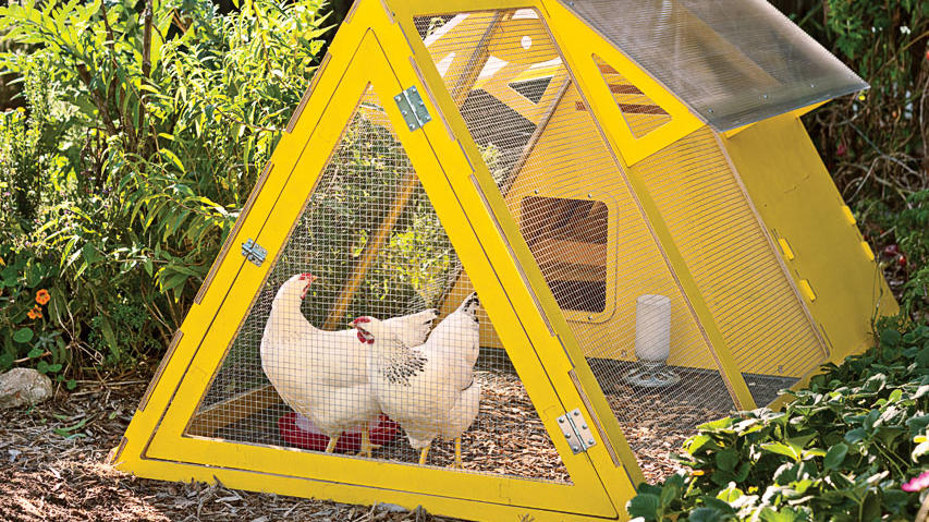 Yellow And Fabulous The Mother Of All Chicken Coops Sunset Magazine