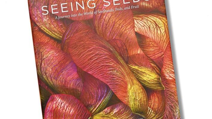 Giveaway: gallery print from Seeing Seeds