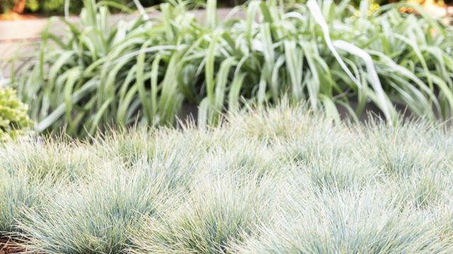Designer feed: outdoor living, groovy seating, and pink