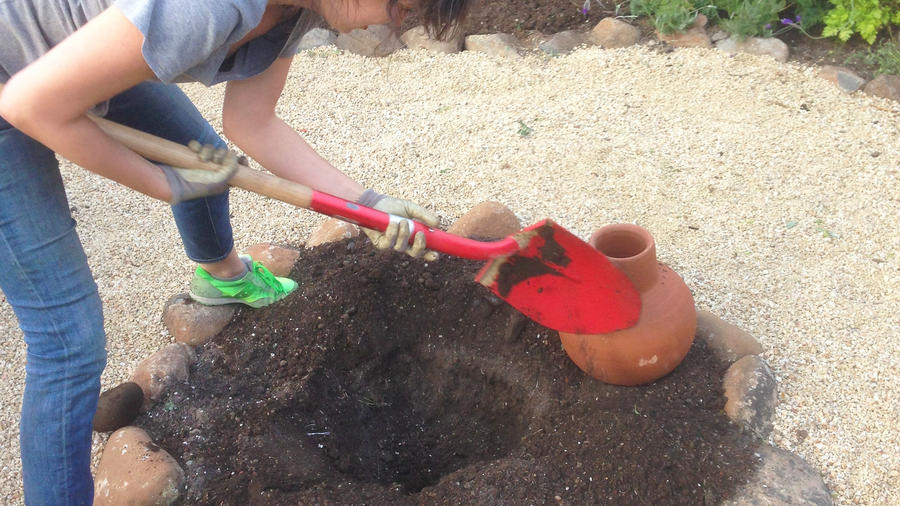 Ollas: how to use an olla to water your plants - Plantura