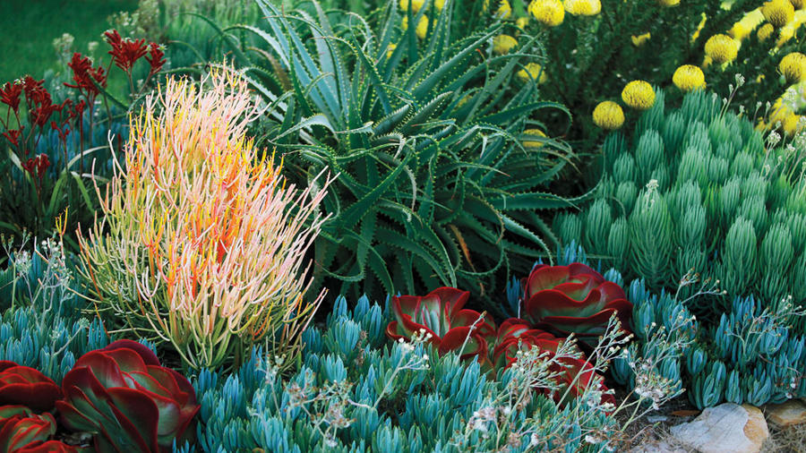 Last Chance to Win a Low-Water Landscape!