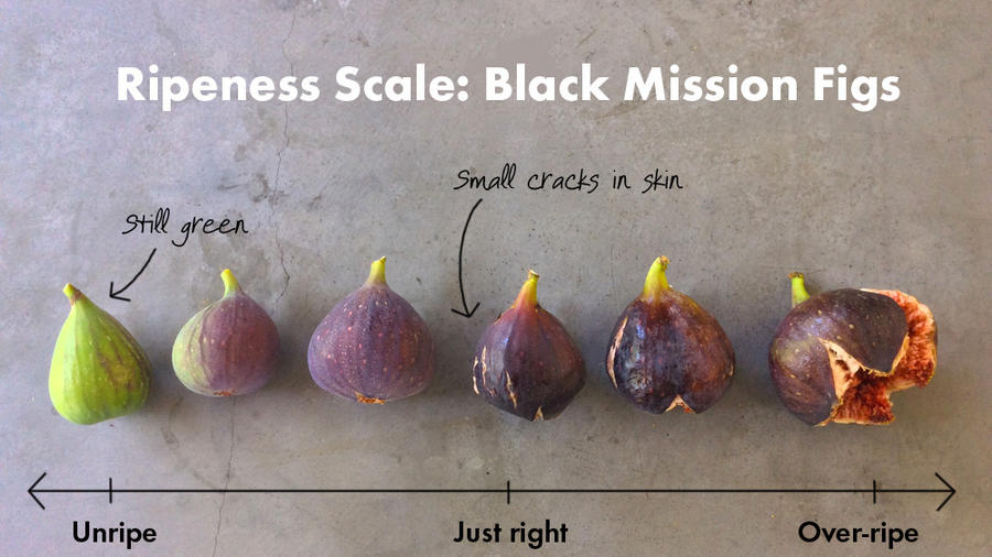 How to Pick the Perfect Fig