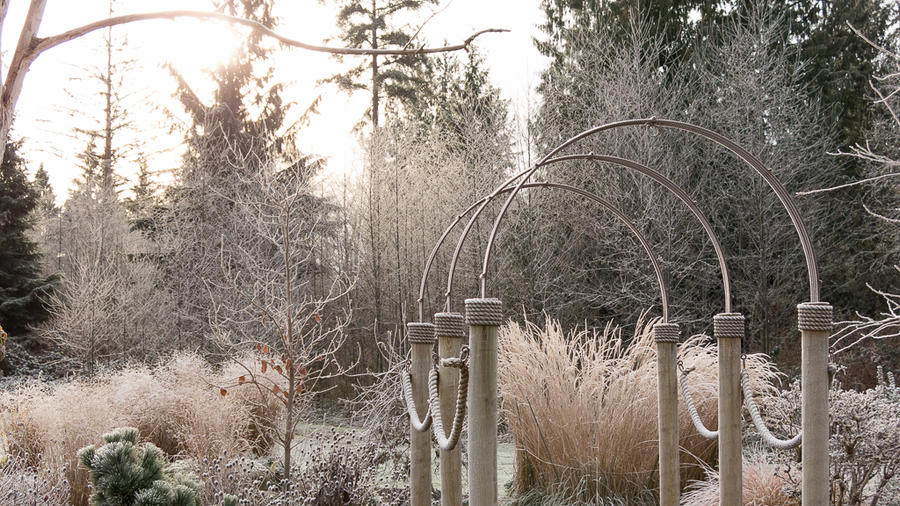 Planting Ideas: Frosty Foliage