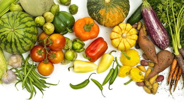 Join the Sunset Fresh Foods Challenge!