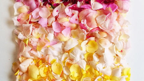 Last-minute gifts for your plant-loving mom