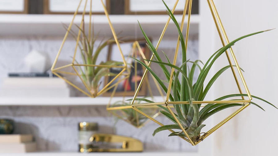 Links we love: Natural instincts