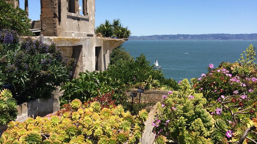 Go Now! This Week’s Your Last Chance to See Modern Art at Alcatraz