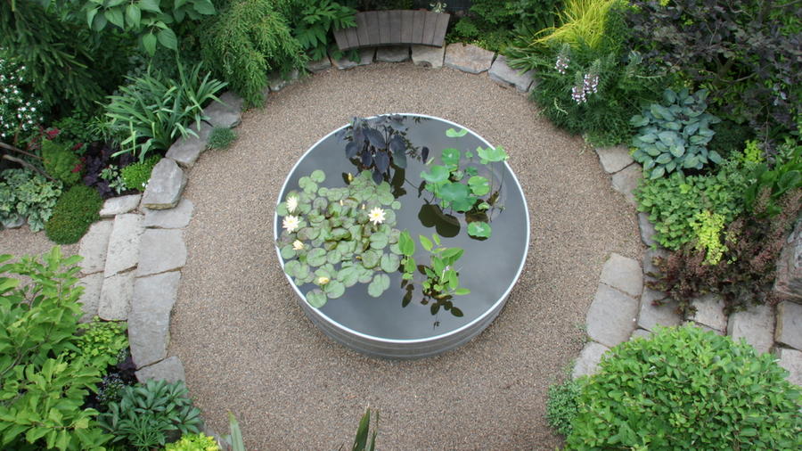 New Guest Blogger: Rebecca Sams from Mosaic Gardens