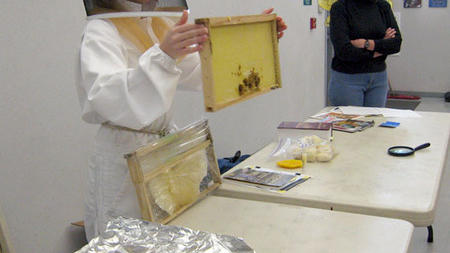 Honey bees make learning sweet for San Carlos first graders
