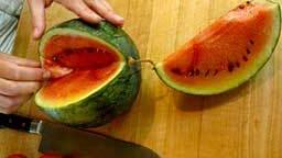 Melon harvest: time for a taste test