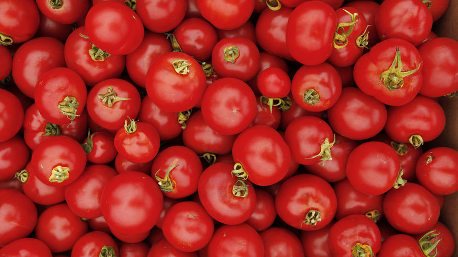 Drought-Stressed Crops May Be Better For You