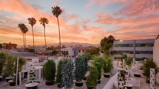 LA’s edibles rooftop