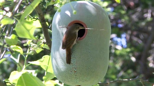 Modern Garden Gift Ideas