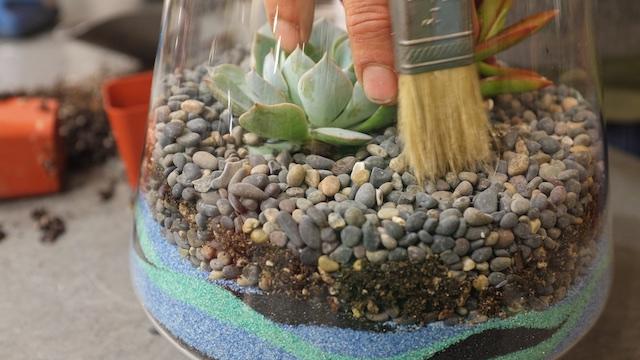 Colored Sand for Terrarium Drainage and Ornaments 