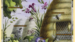 Bee books for those charmed by bees