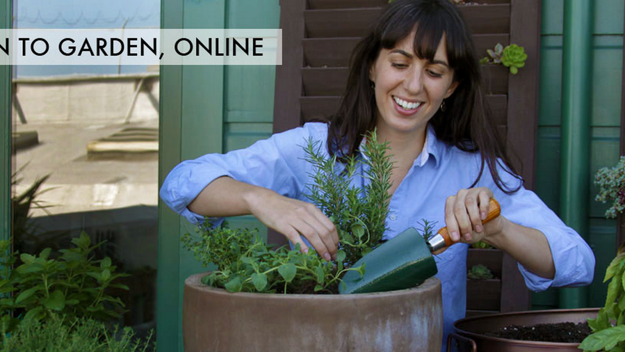Discount: Save 10% on Edible Container Gardening Class