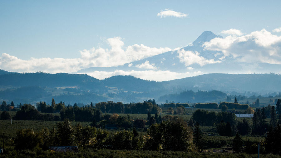 Where to Go This Weekend: Hood River, OR
