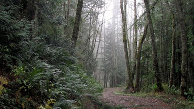 Inside San Francisco’s Hidden Gems