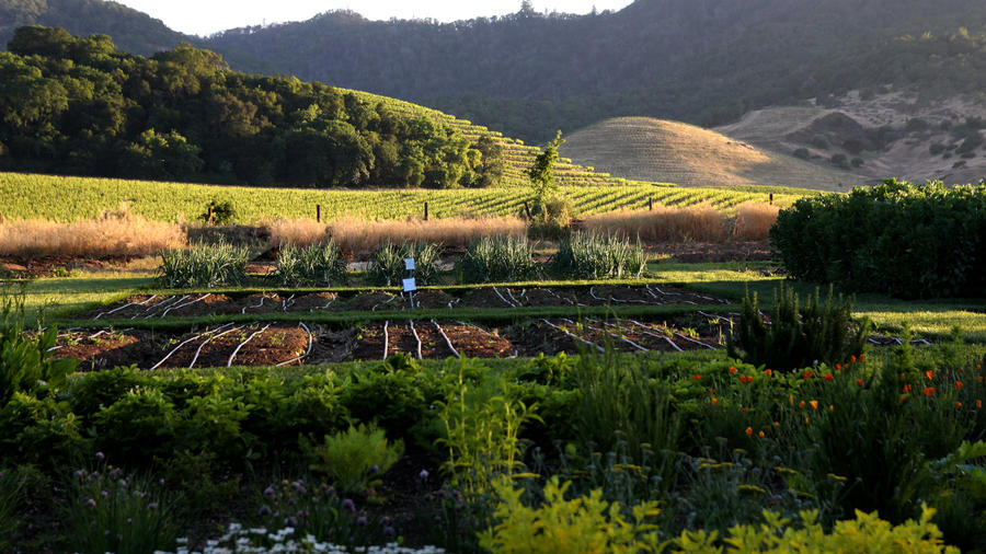 Where To Go This Weekend: Napa Valley, CA