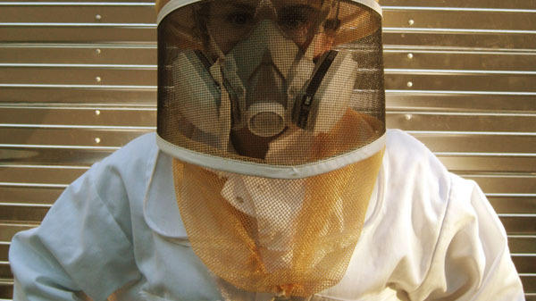 Treating bees