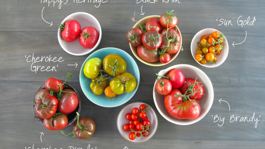 The Best Tomatoes from Sunset’s Test Garden