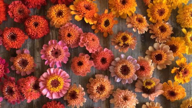 5 Florists to Follow on Instagram