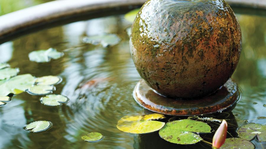 The Easiest Way to Bring Birds to Your Garden