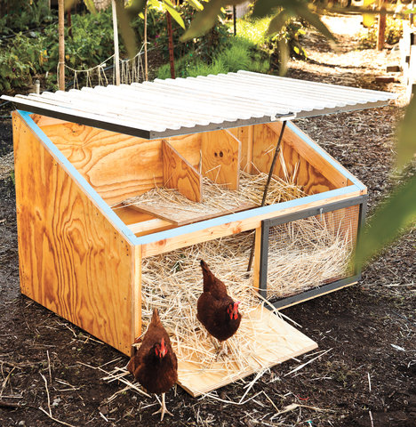 How to Build a Chicken Coop, Including Free Plans - Sunset ...