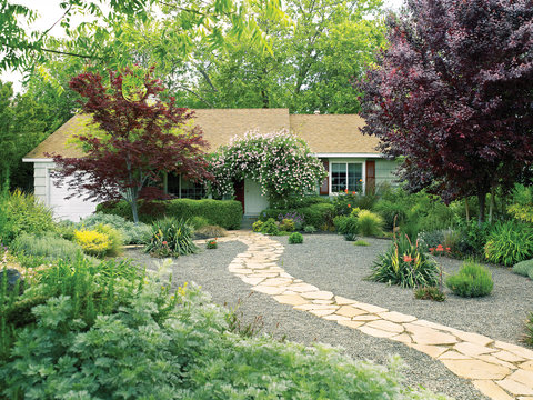 Lessons From A Lawn Free Makeover Sunset Magazine