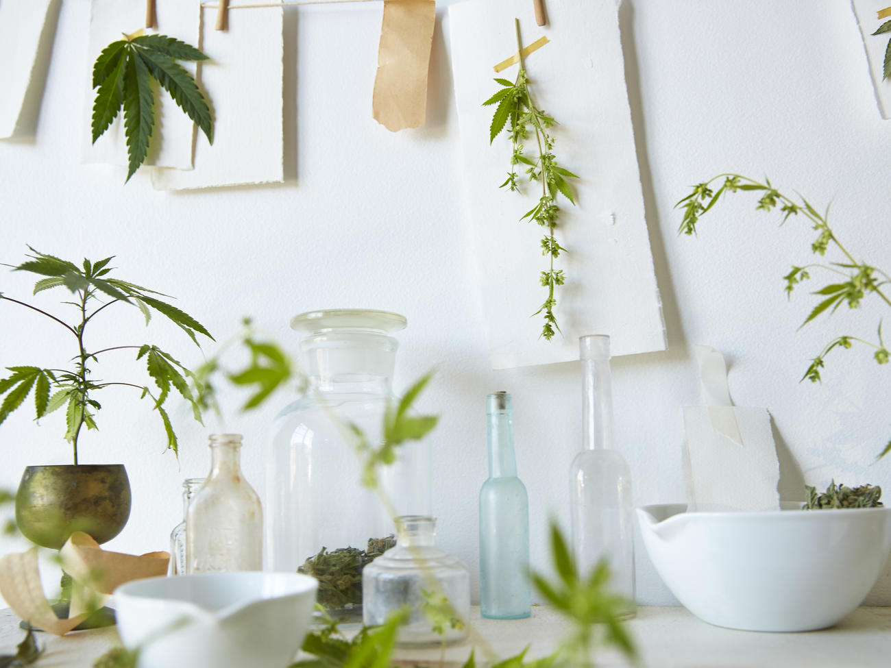 What to Know About Marijuana Legalization in California