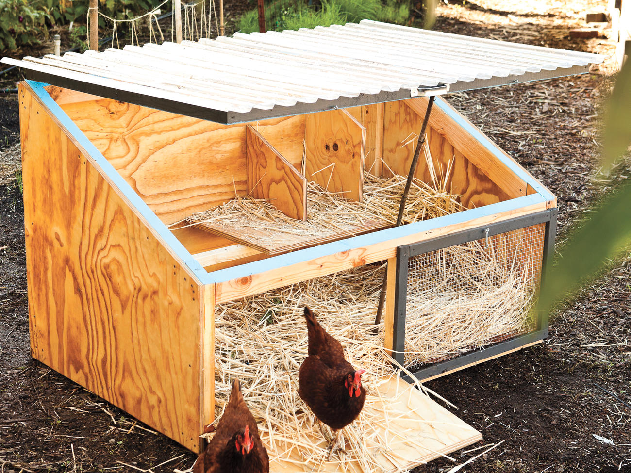 How To Build A Chicken Coop Because Your Backyard Needs Chickens   Icebox Chicken Coop Design 