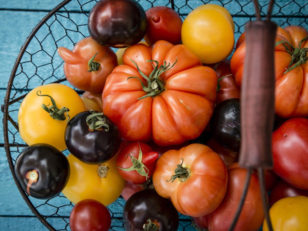 Heirloom Tomato Recipes & Menu Ideas