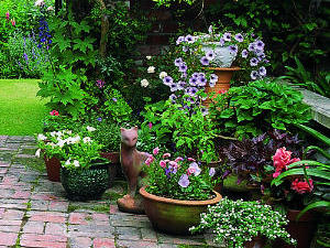 The Basics: Gardening in Containers