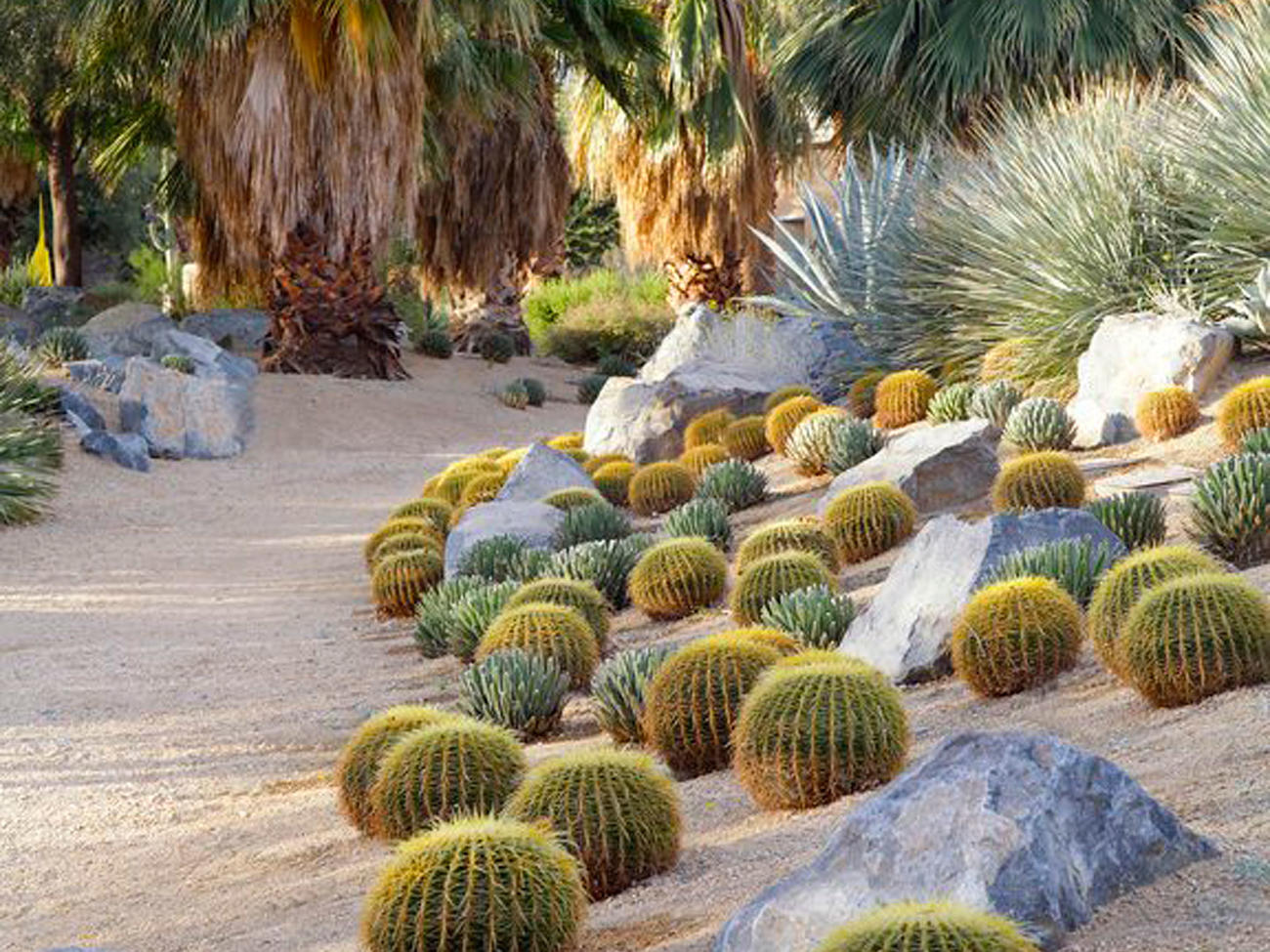 how to make a mini cactus garden