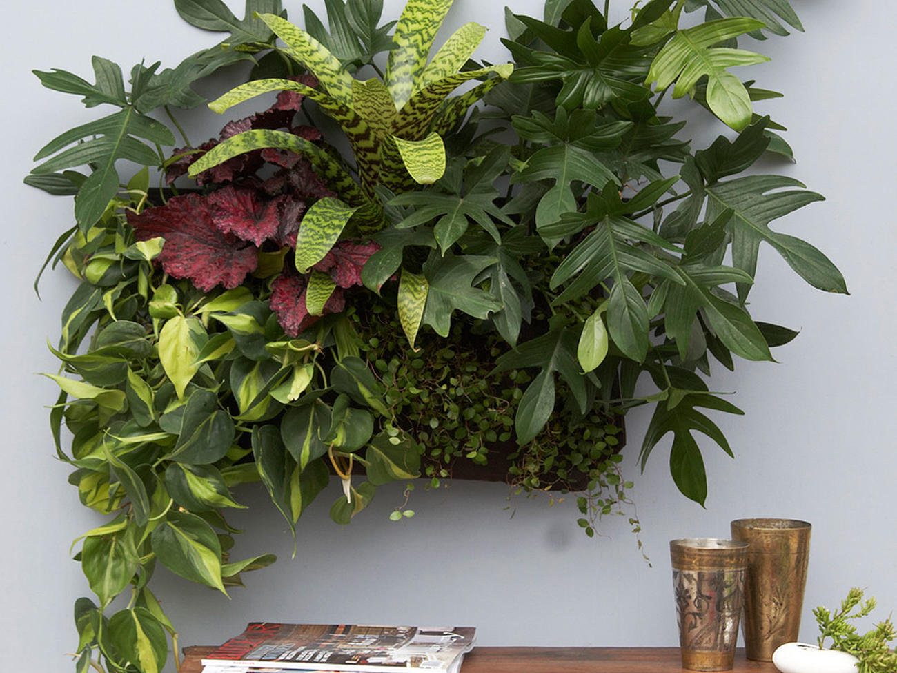 5 Ways to Keep Houseplants Watered on Vacation