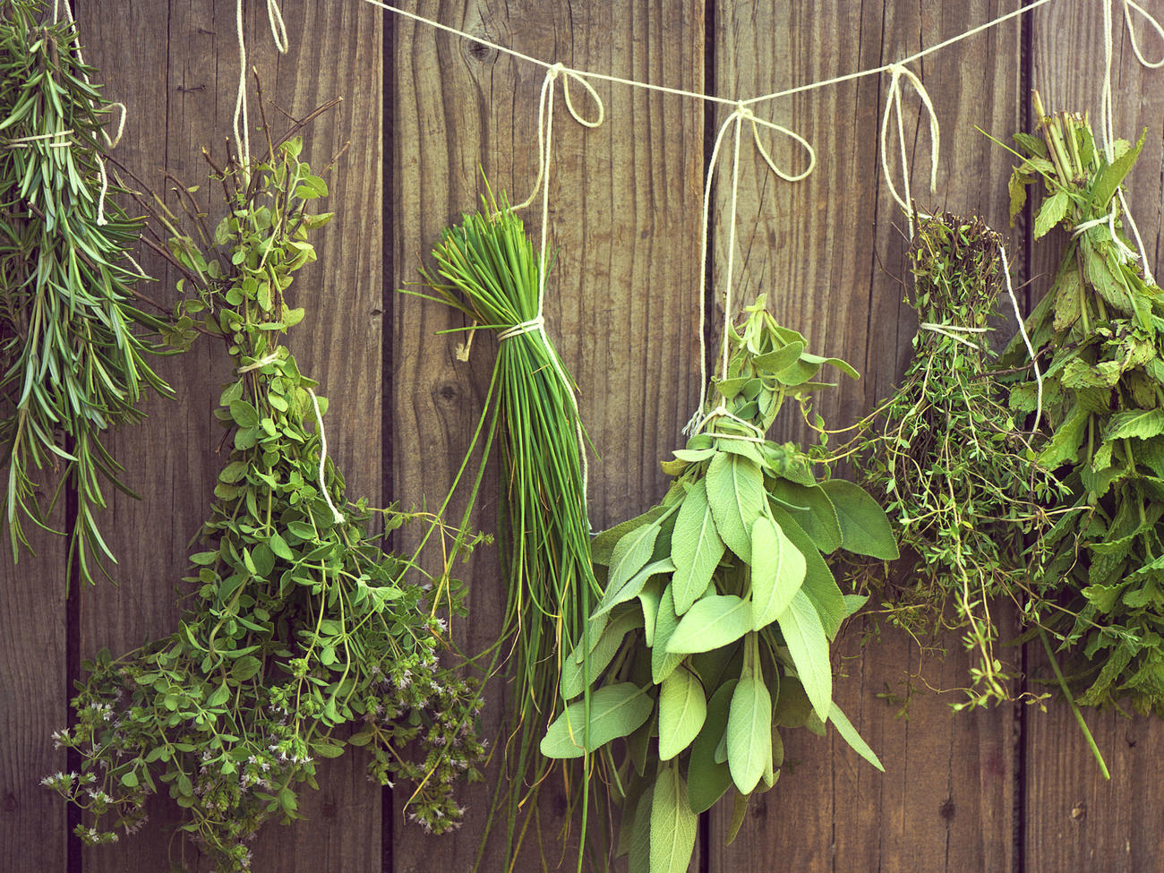 Dried Botanicals at Preservation Press - Country Roads Magazine