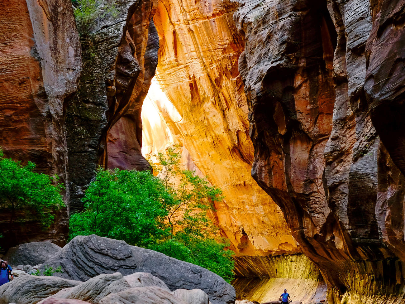Top Wow Spots of Zion