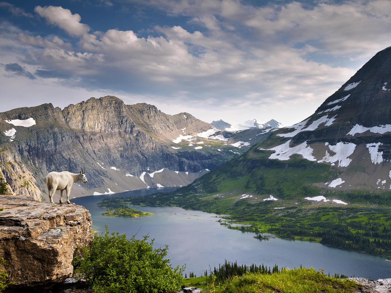 Please Don’t Treat National Parks Like a Garbage Can, Says Glacier National Park