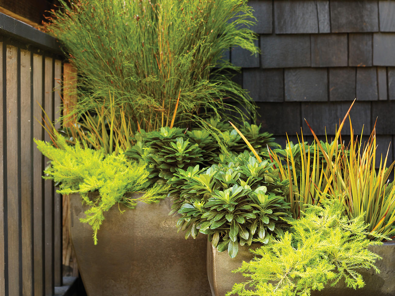 5 Stylish Fall Container Designs