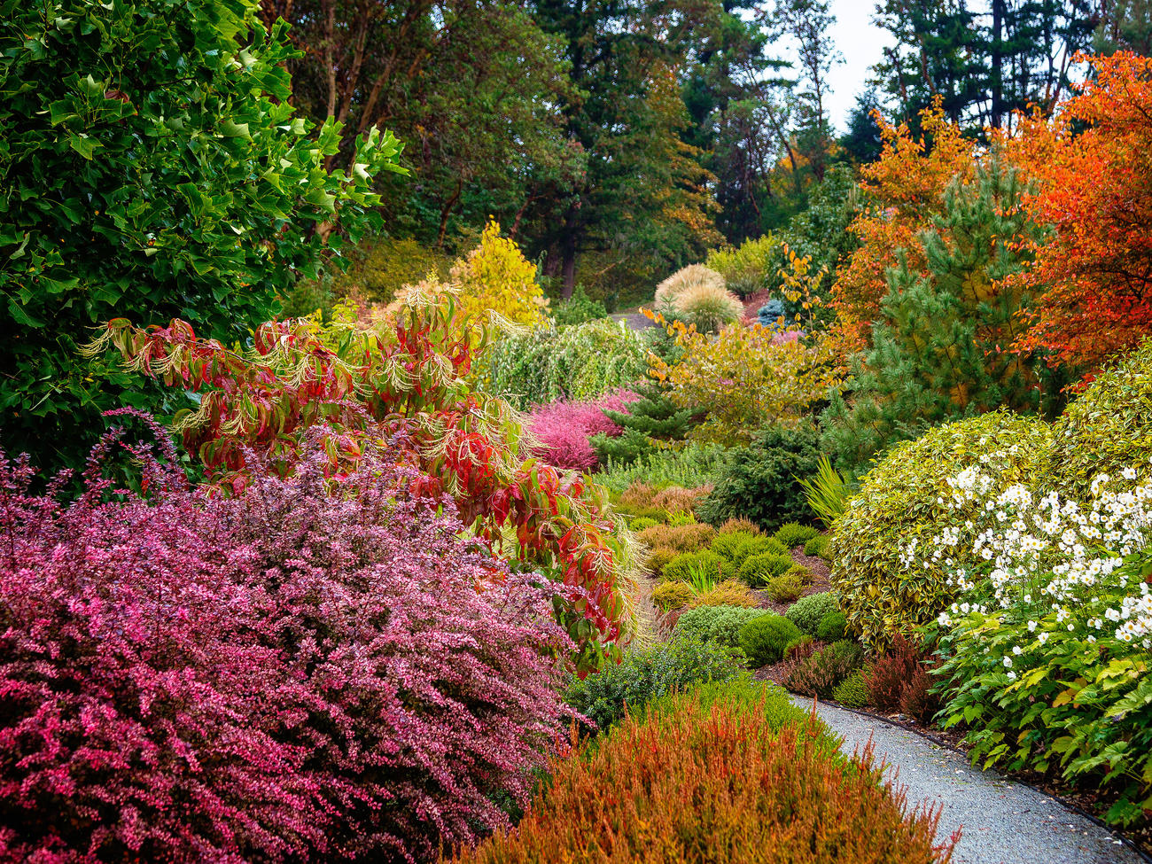 6 Lessons for a Stunning Fall Garden