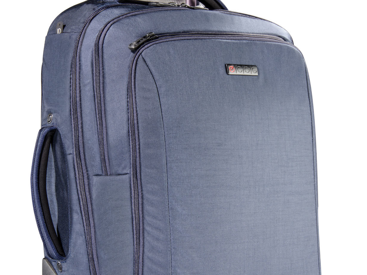 Pegasus convertible hotsell wheeled backpack