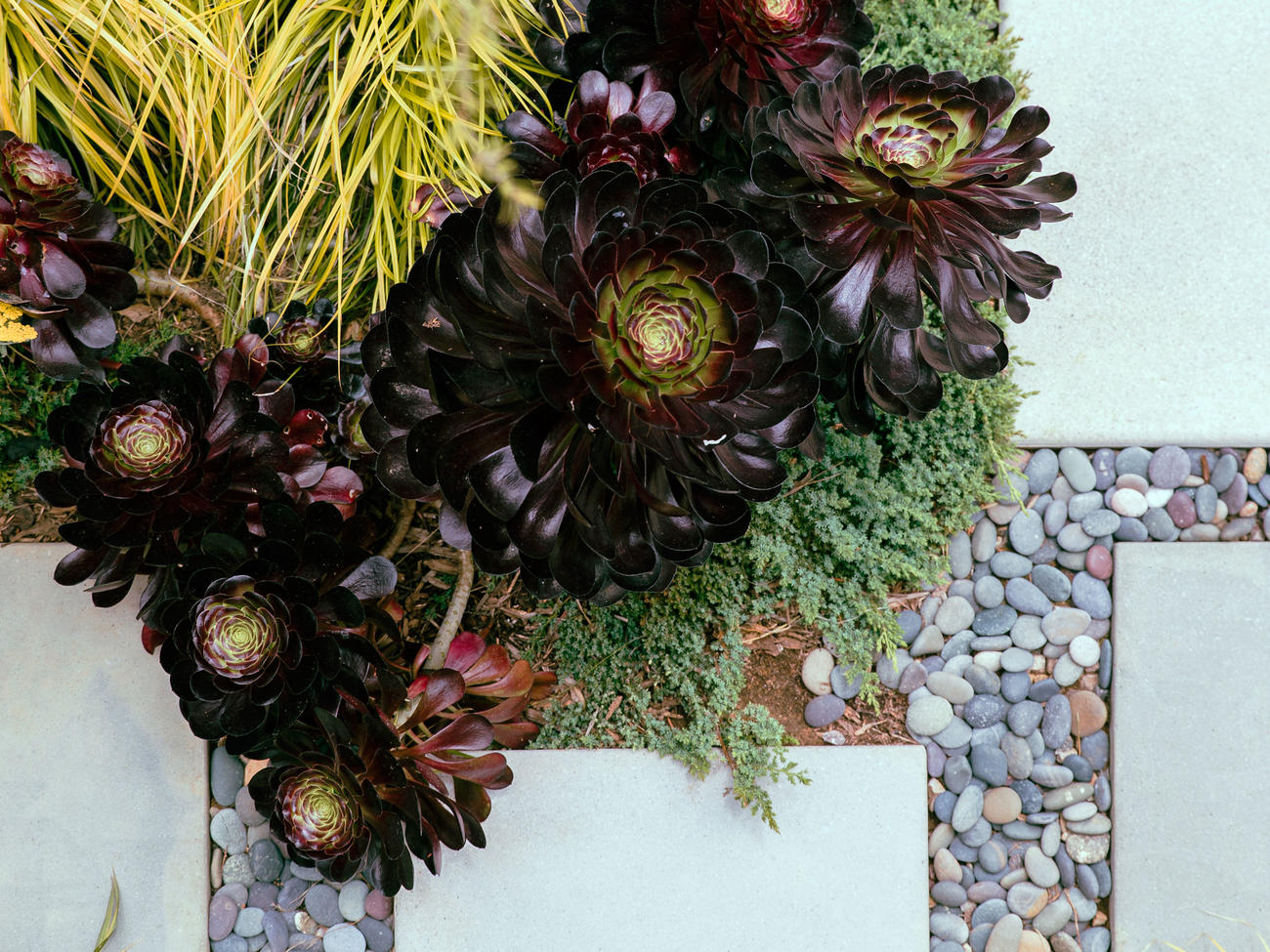 From Fire to Water, These Are the Top 5 Garden Trends We’re Watching for 2020