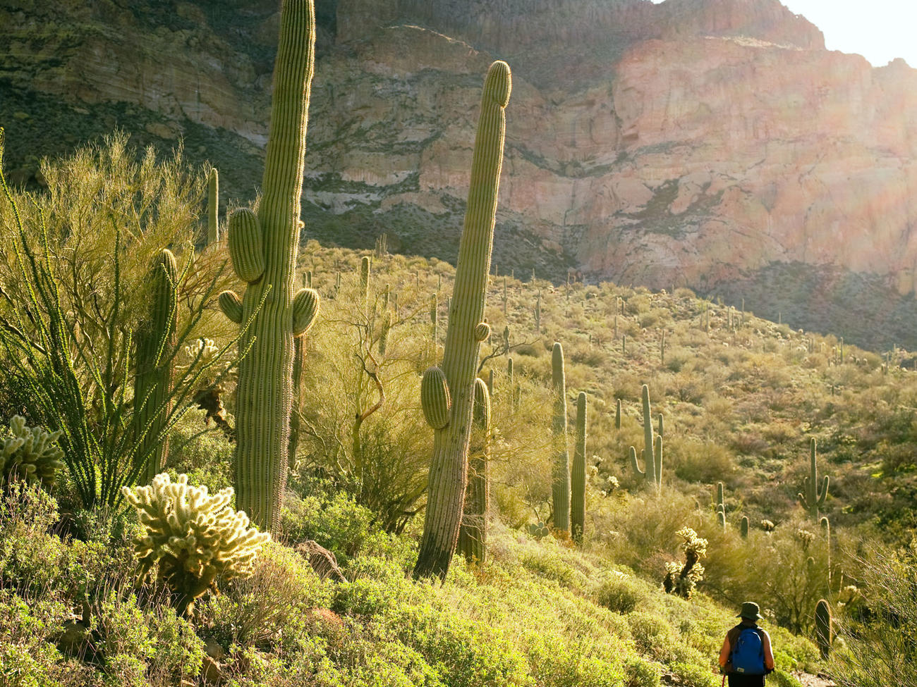Desert Getaway: the Arizona Trail