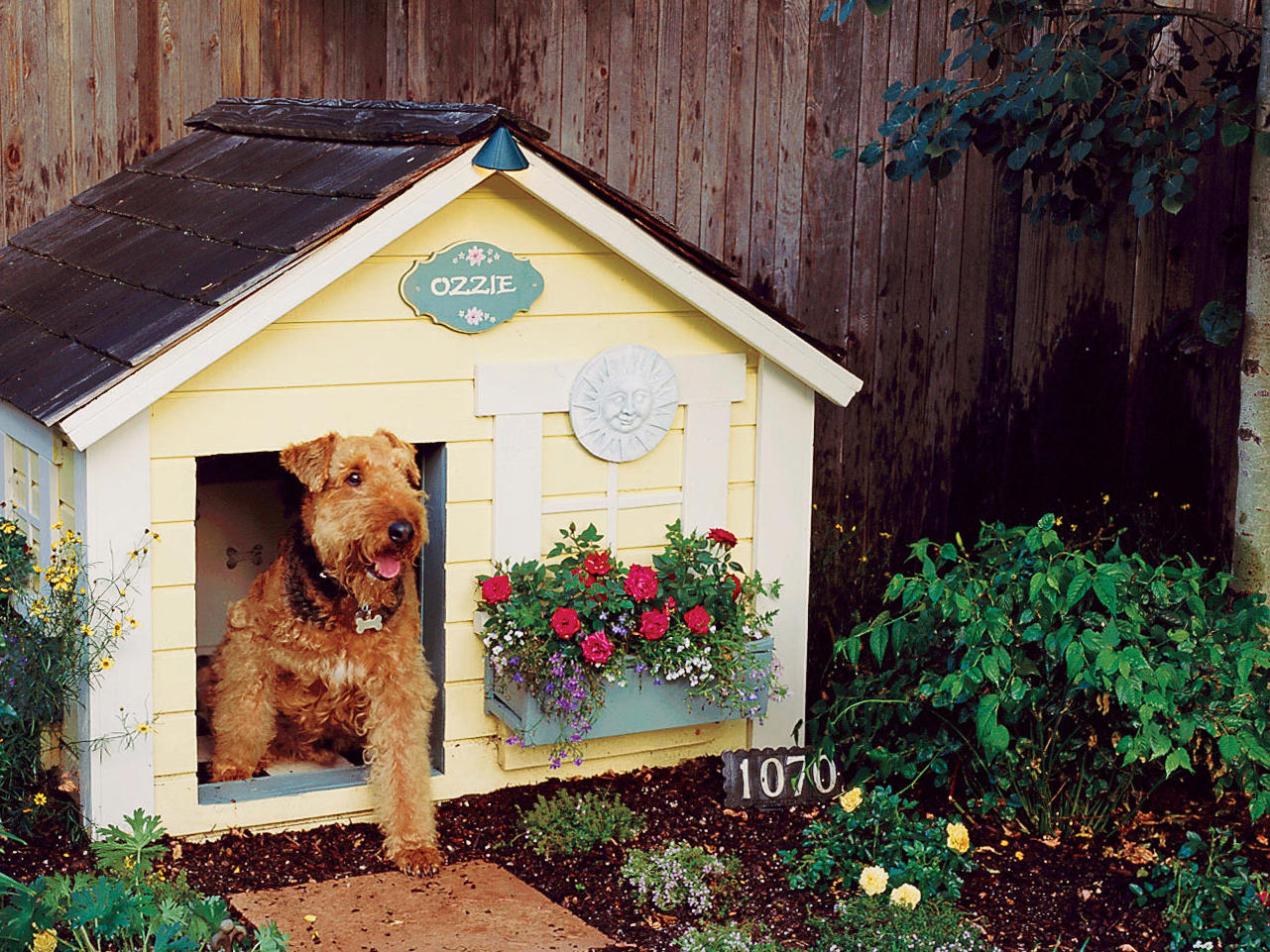 How to Landscape a Dog-Friendly Garden