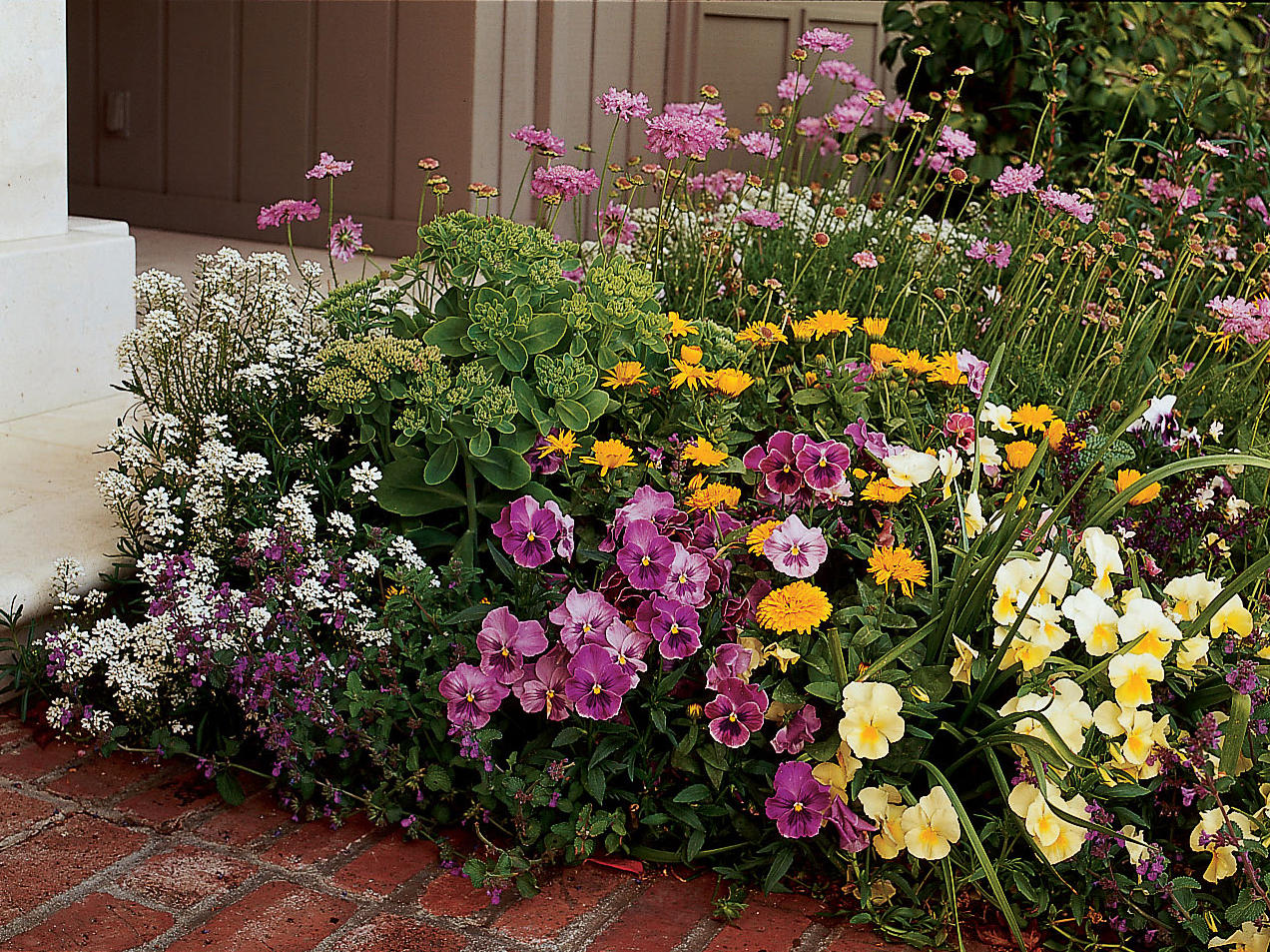 Fall’s Brightest Flowers