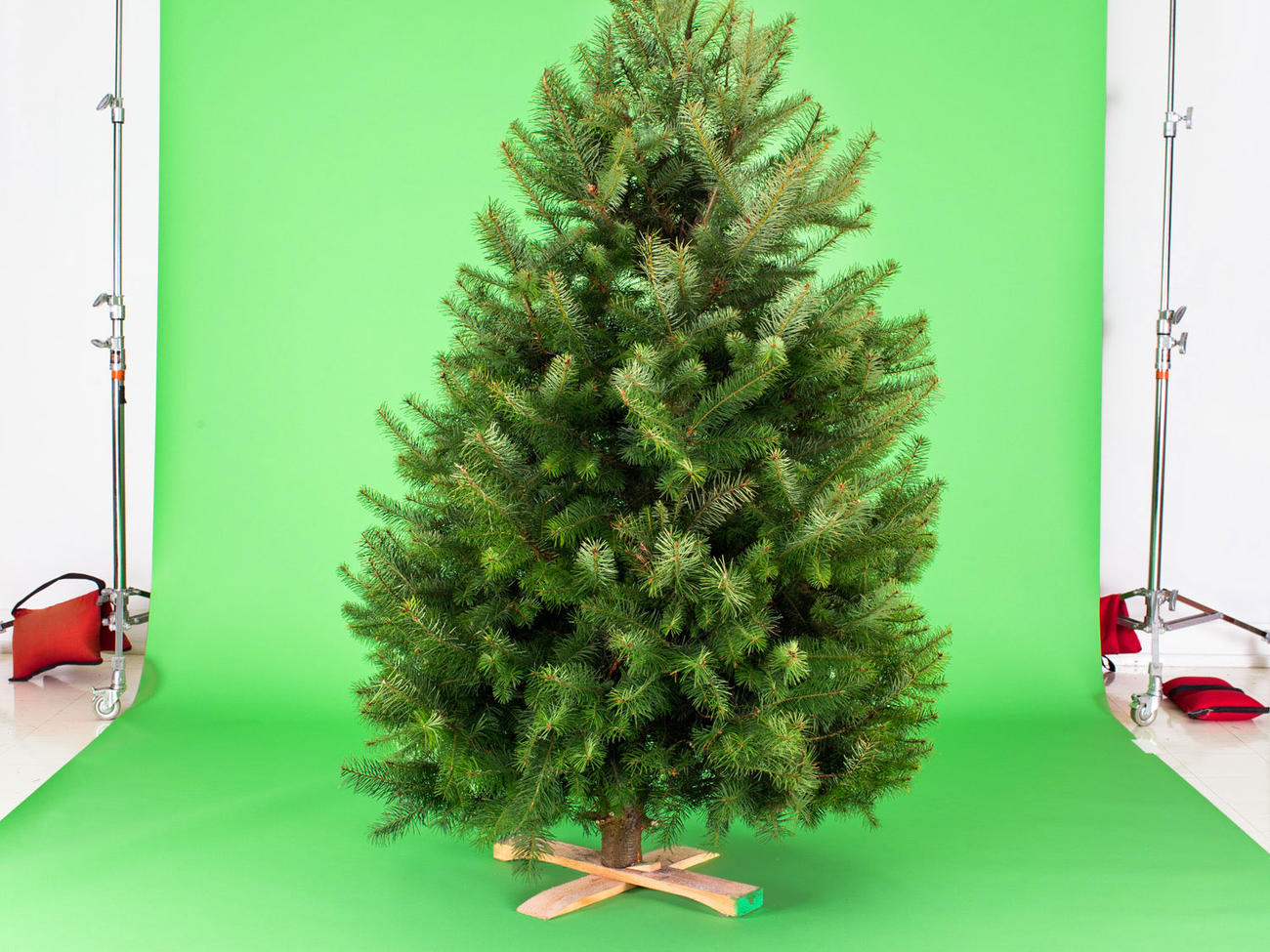 Fresh vs. Fake: Choosing the Right Christmas Tree