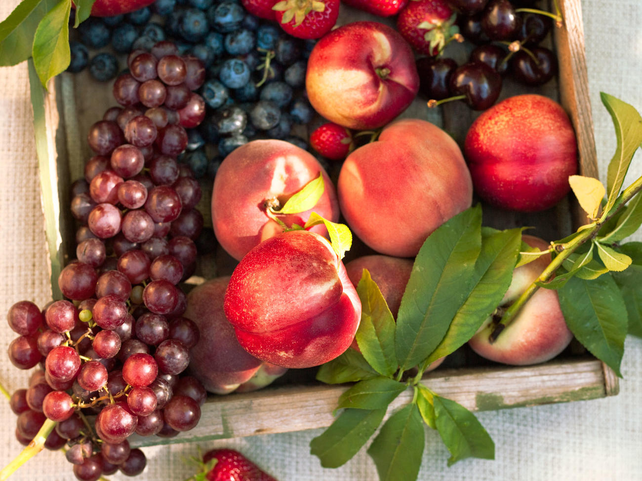 The Best Fruits To Plant In Cold Weather