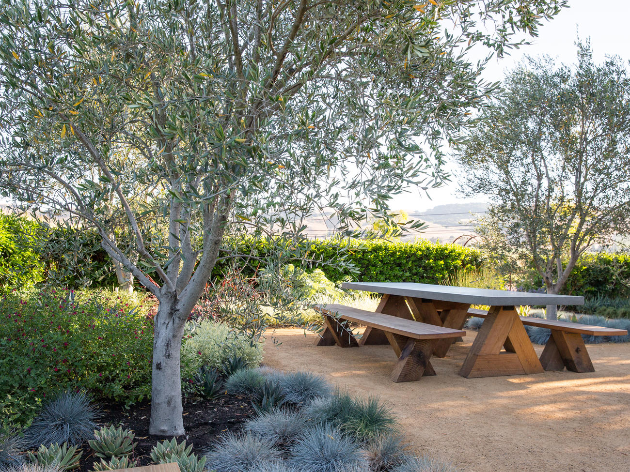 ideas-for-a-stylish-outdoor-gathering-space